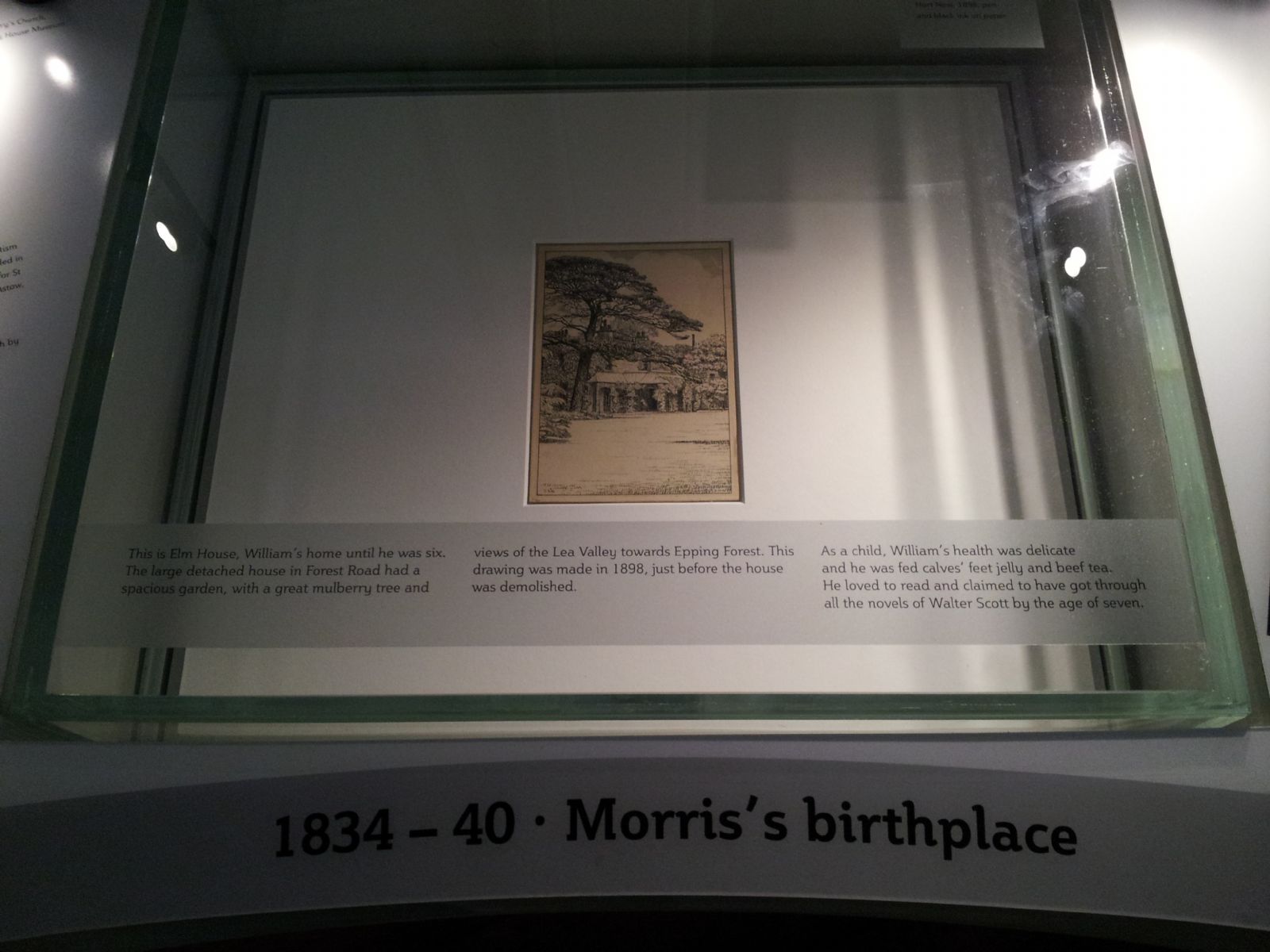 William Morris Gallery
